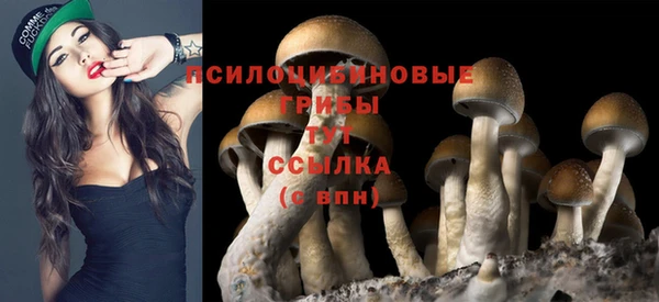 кокаин колумбия Алзамай