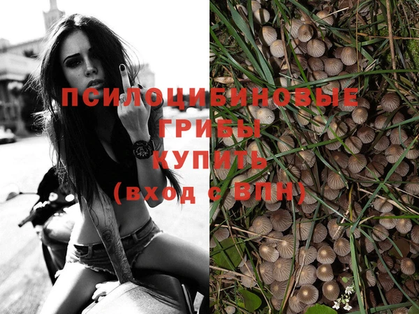 стафф Алексин