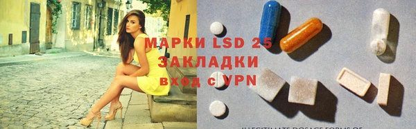 стафф Алексин