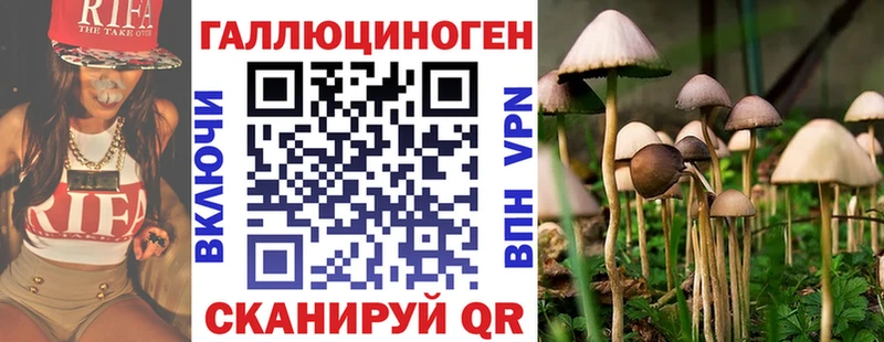 Псилоцибиновые грибы Cubensis наркошоп даркнет как зайти Грязовец