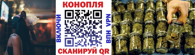 Бошки Шишки VHQ  цены   Грязовец 